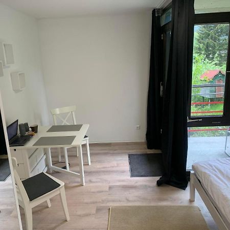 Kleines Einzimmer-Apartment 14 Bad Wildbad Kültér fotó
