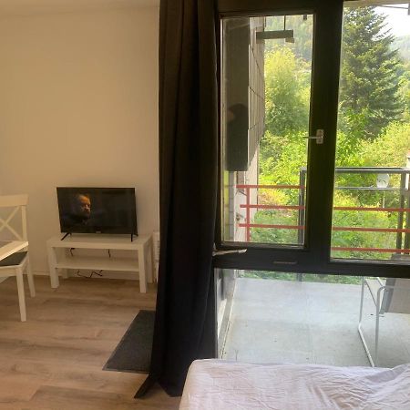 Kleines Einzimmer-Apartment 14 Bad Wildbad Kültér fotó