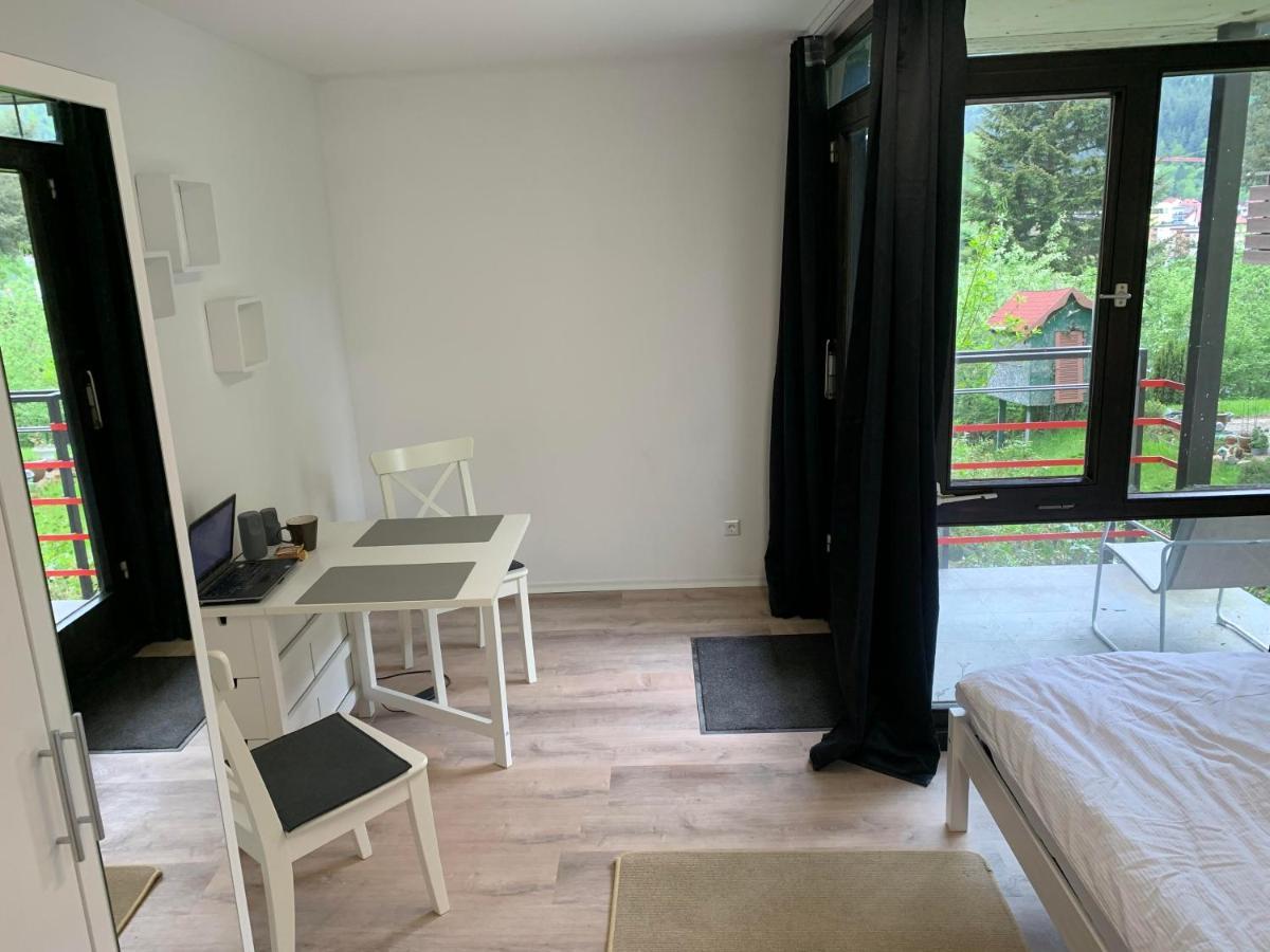 Kleines Einzimmer-Apartment 14 Bad Wildbad Kültér fotó