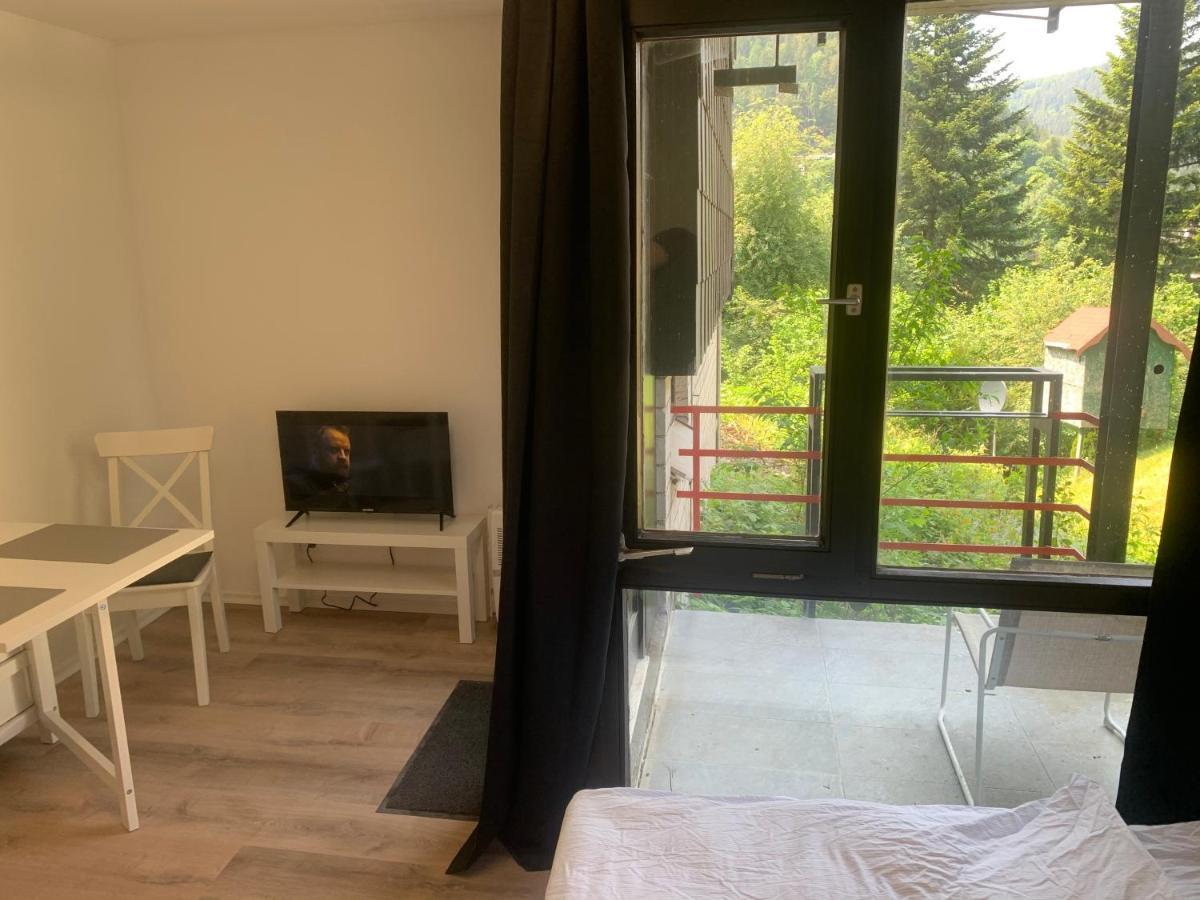 Kleines Einzimmer-Apartment 14 Bad Wildbad Kültér fotó